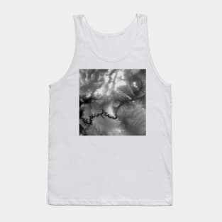 Grand Canyon 4 Tank Top